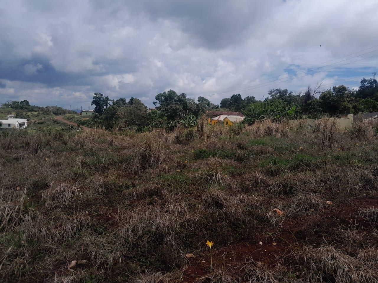 Development-Land-for-Sale-in-Potsdam-St.-Elizabeth-Jamaica-–-8.297-Acres-Residential-Opportunity Eighth image of Potsdam, Munroe in Potsdam, St. Elizabeth, Jamaica - property is For Sale