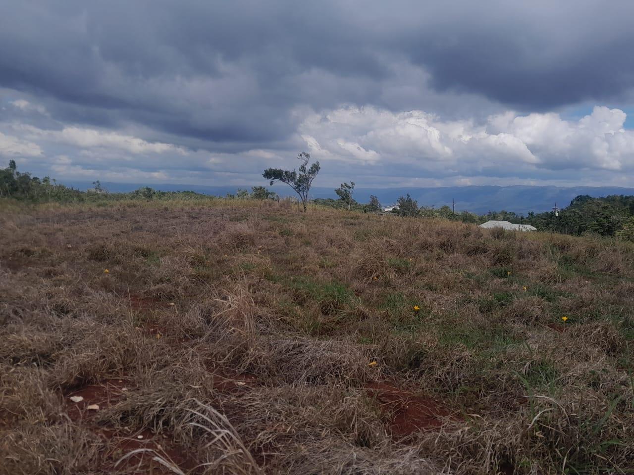 Development-Land-for-Sale-in-Potsdam-St.-Elizabeth-Jamaica-–-8.297-Acres-Residential-Opportunity Ninth image of Potsdam, Munroe in Potsdam, St. Elizabeth, Jamaica - property is For Sale