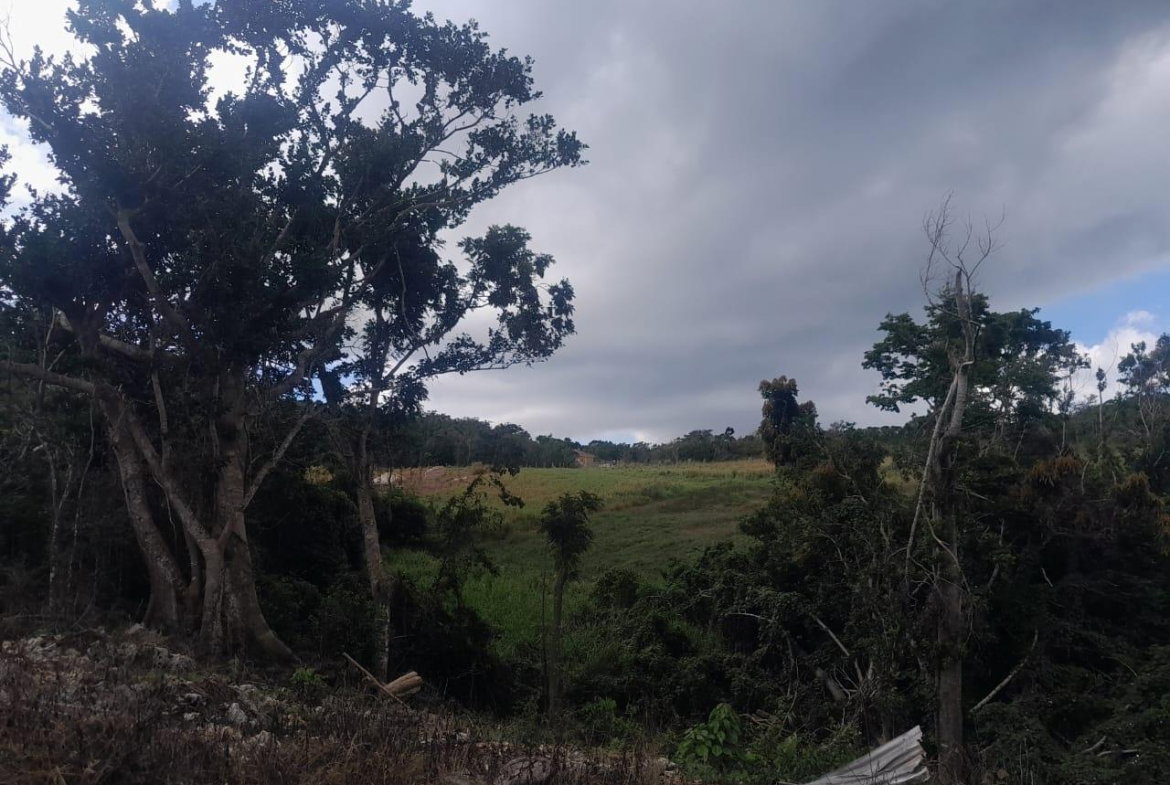 Tenth image of Potsdam, Munroe in Potsdam, St. Elizabeth, Jamaica - property is For Sale