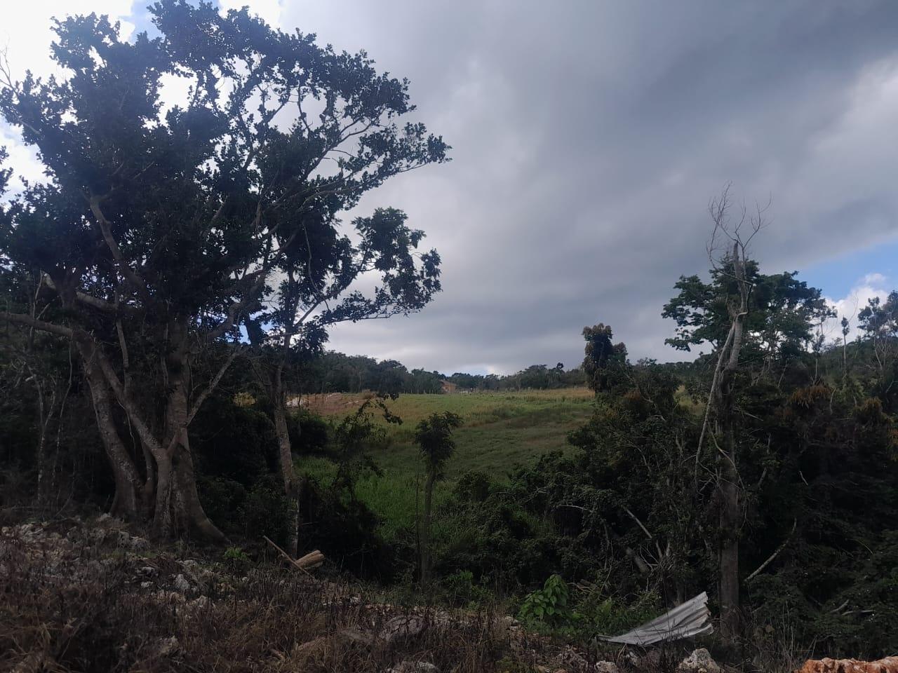 Development-Land-for-Sale-in-Potsdam-St.-Elizabeth-Jamaica-–-8.297-Acres-Residential-Opportunity Tenth image of Potsdam, Munroe in Potsdam, St. Elizabeth, Jamaica - property is For Sale