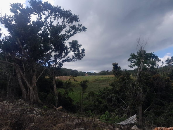 Tenth image of Potsdam, Munroe in Potsdam, St. Elizabeth, Jamaica - property is For Sale
