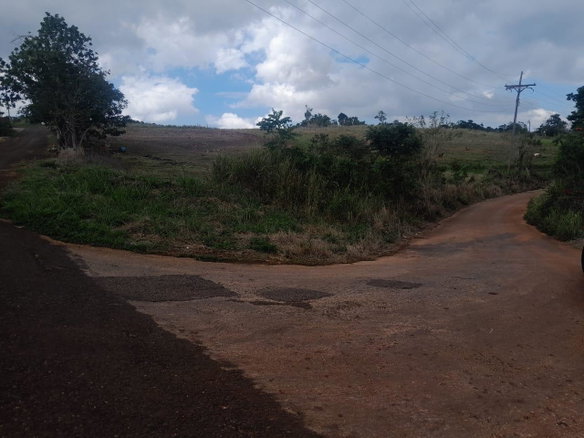 First image of Potsdam, Munroe in Potsdam, St. Elizabeth, Jamaica - property is For Sale