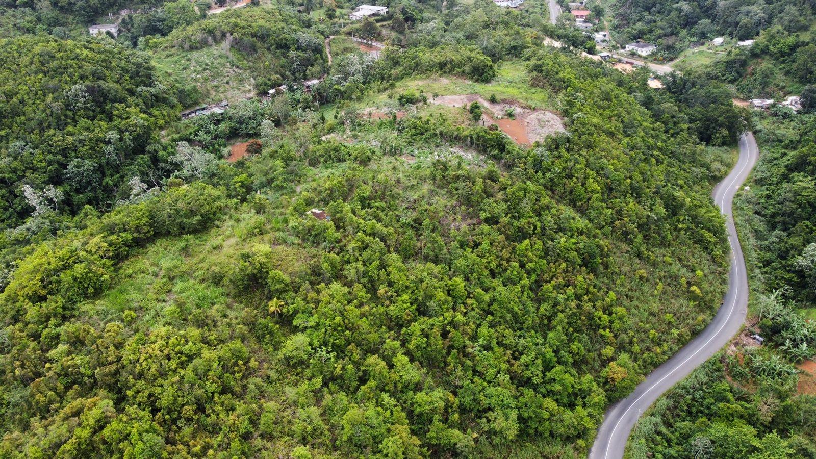 Second image of 1 Mount Atlas, Red Hills in Red Hills, St. Andrew, Jamaica - property is For Sale