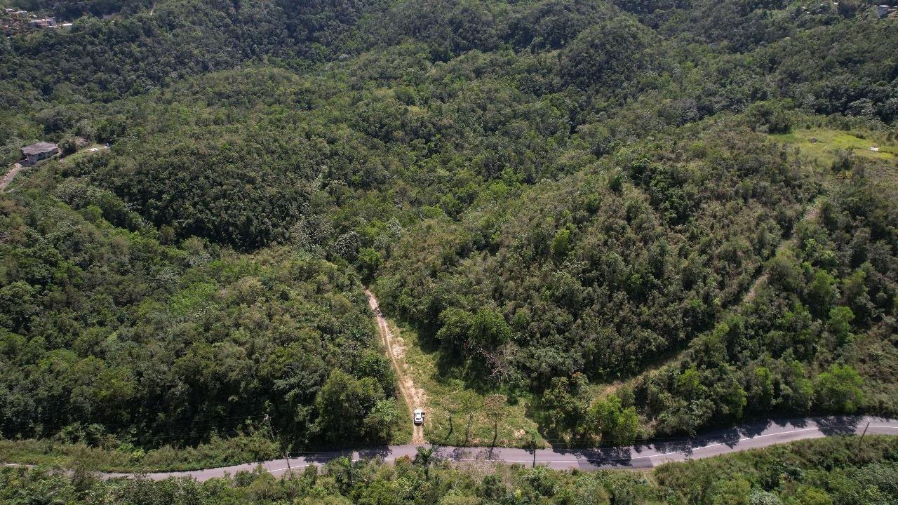 Sixteenth image of 1 Mount Atlas, Red Hills in Red Hills, St. Andrew, Jamaica - property is For Sale