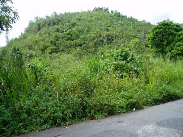 Fourth image of 1 Mount Atlas, Red Hills in Red Hills, St. Andrew, Jamaica - property is For Sale
