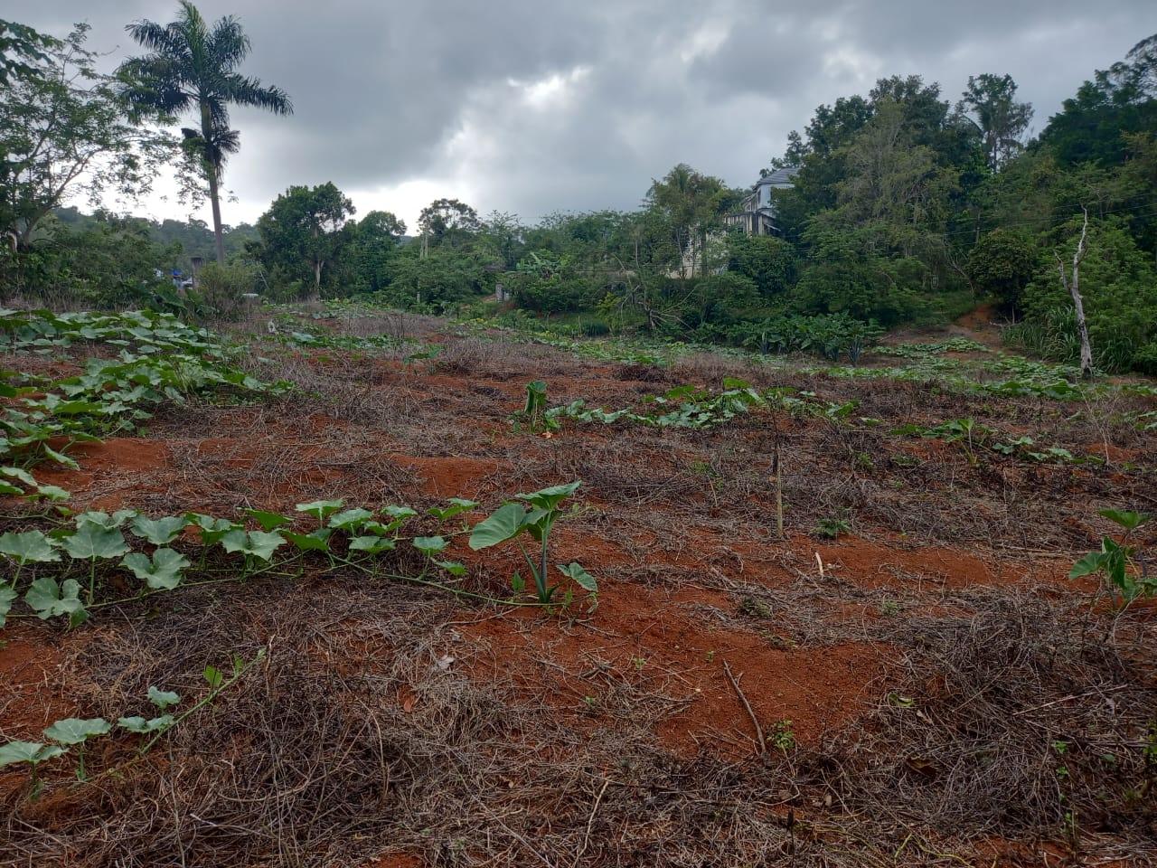 Third image of 75 Retreat Claremont in Claremont, St. Ann, Jamaica - property is For Sale