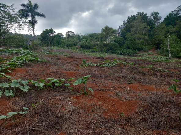 Third image of 75 Retreat Claremont in Claremont, St. Ann, Jamaica - property is For Sale