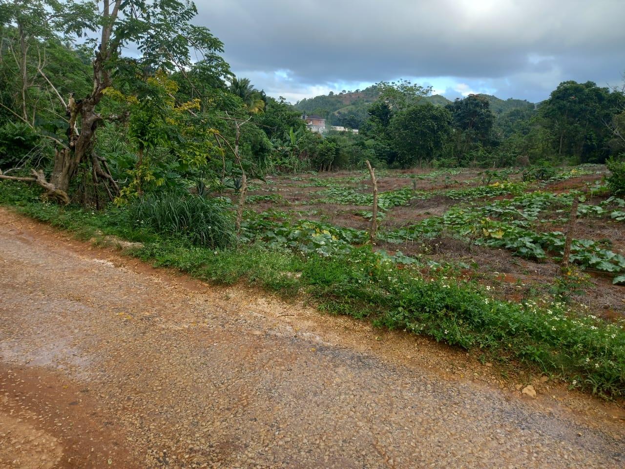 Sixth image of 75 Retreat Claremont in Claremont, St. Ann, Jamaica - property is For Sale
