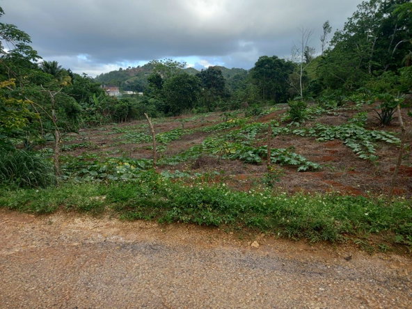 Tenth image of 75 Retreat Claremont in Claremont, St. Ann, Jamaica - property is For Sale
