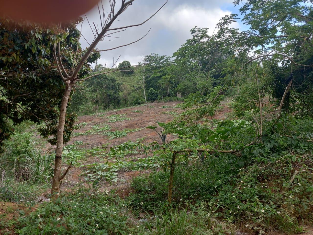 First image of 75 Retreat Claremont in Claremont, St. Ann, Jamaica - property is For Sale