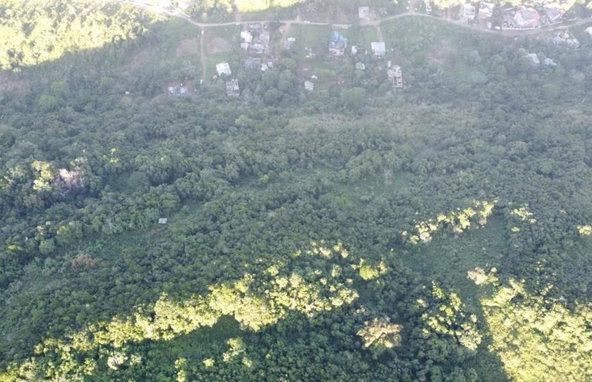 Second image of Land Part of Cotterwood s in Sligoville, St. Catherine, Jamaica - property is For Sale