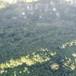 First image of Land Part of Cotterwood s in Sligoville, St. Catherine, Jamaica - property is For Sale