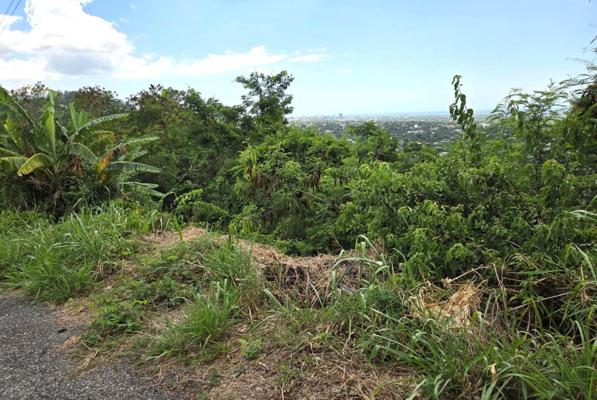 Eighth image of 57 Belgrade Loop in Kingston 19, St. Andrew, Jamaica - property is For Sale