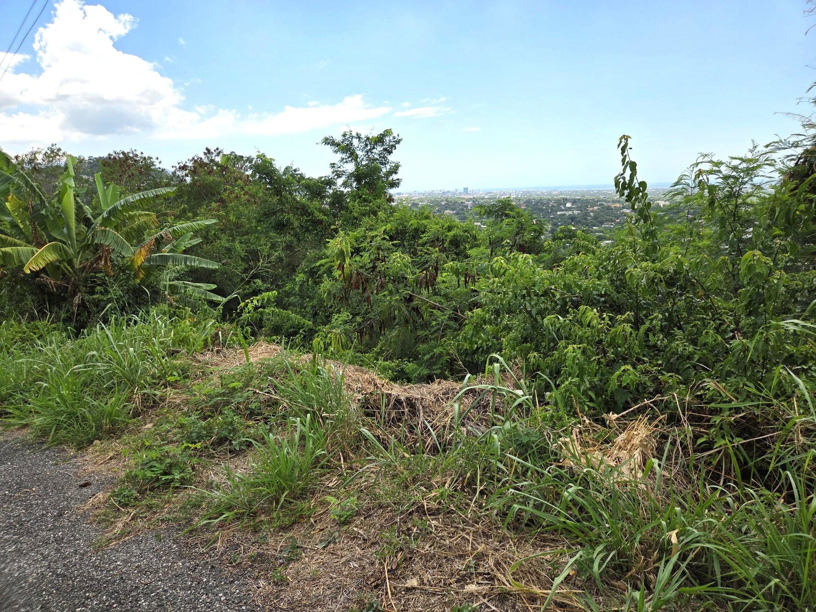 Eighth image of 57 Belgrade Loop in Kingston 19, St. Andrew, Jamaica - property is For Sale