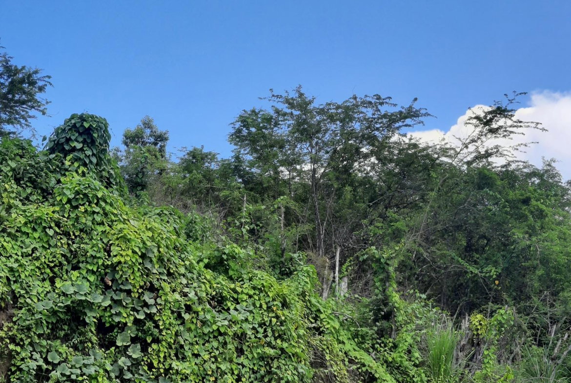 Fourth image of 80 Hortense Brown Close in Irwin, St. James, Jamaica - property is For Sale