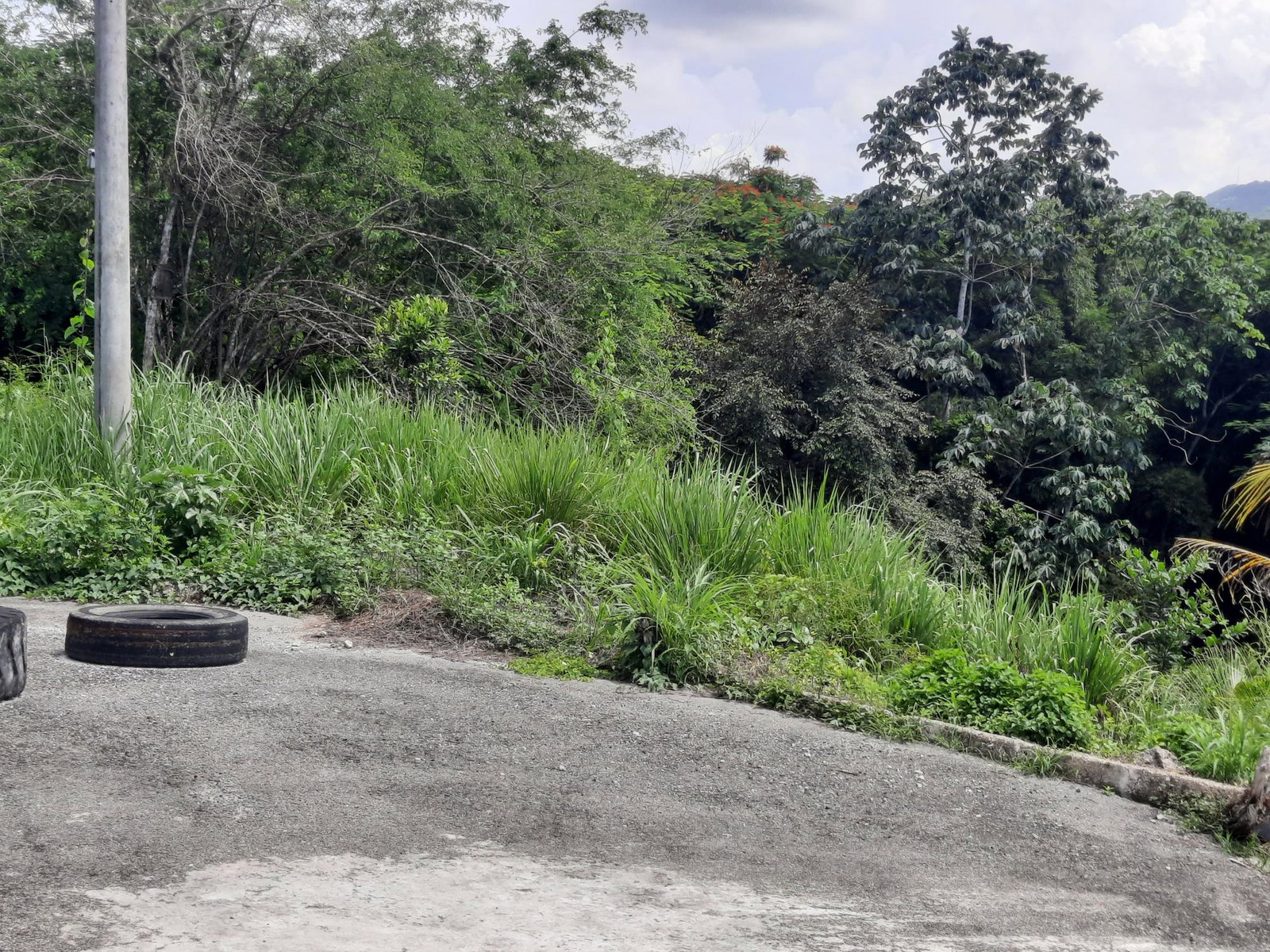 Development-Land-for-Sale-in-St.-James-Jamaica-80-Hortense-Brown-Close Sixth image of 80 Hortense Brown Close in Irwin, St. James, Jamaica - property is For Sale