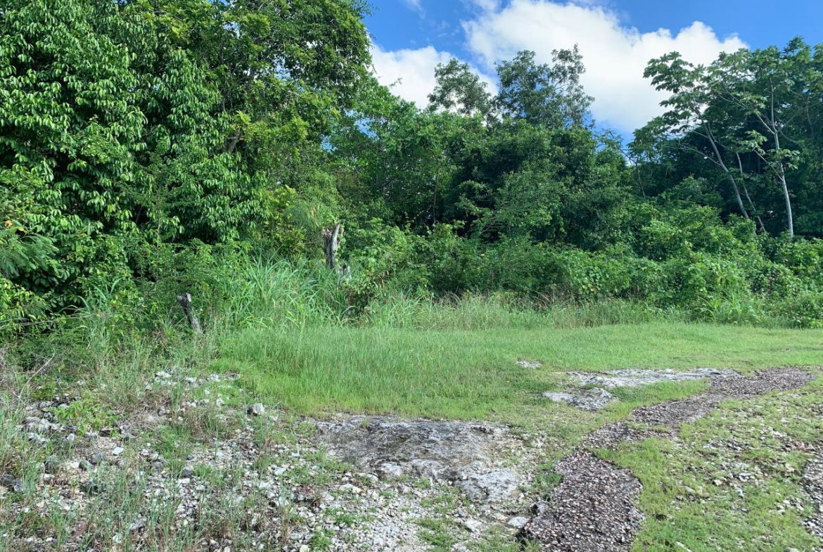 Fourteenth image of Fairfield/johns Hall Main in Montego Bay, St. James, Jamaica - property is For Sale