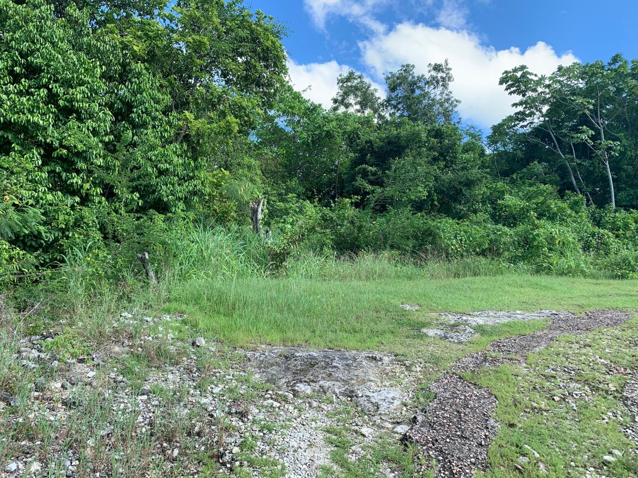 Development-Land-for-Sale-in-St.-James-Jamaica-–-22-Subdivided-Residential-Lots Fourteenth image of Fairfield/johns Hall Main in Montego Bay, St. James, Jamaica - property is For Sale