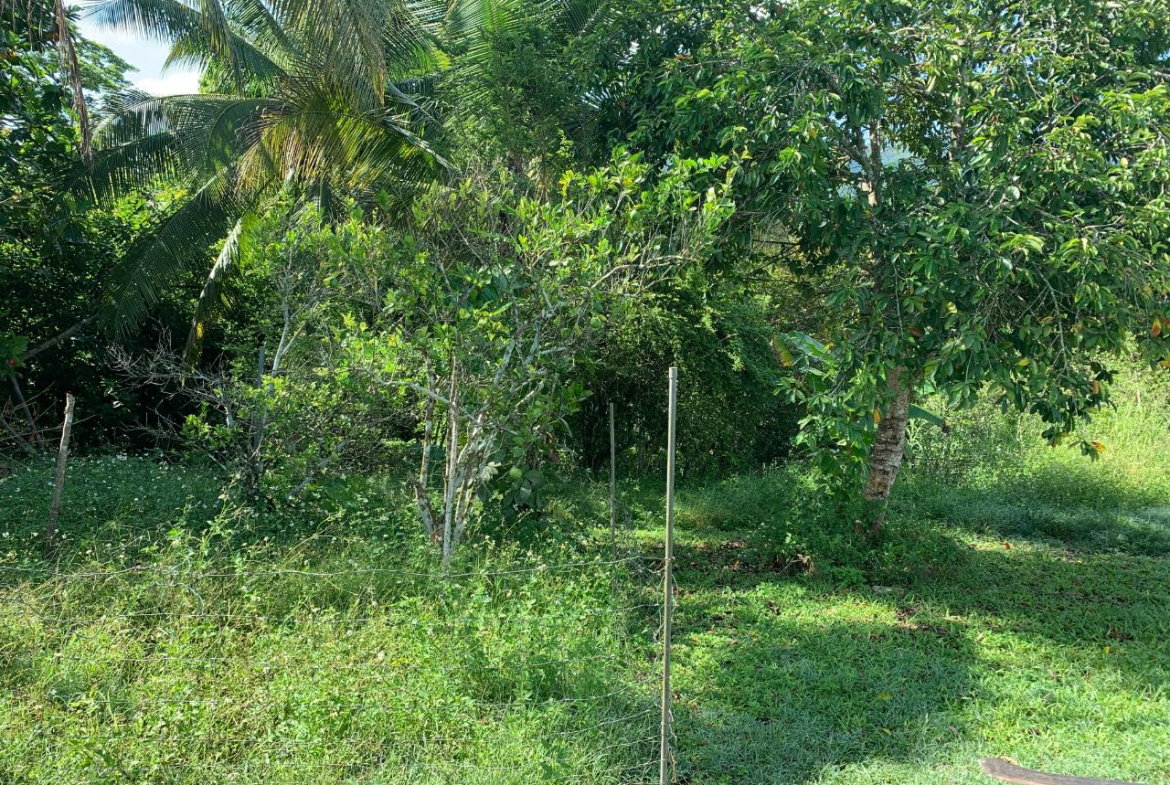 Twenty-First image of Fairfield/johns Hall Main in Montego Bay, St. James, Jamaica - property is For Sale