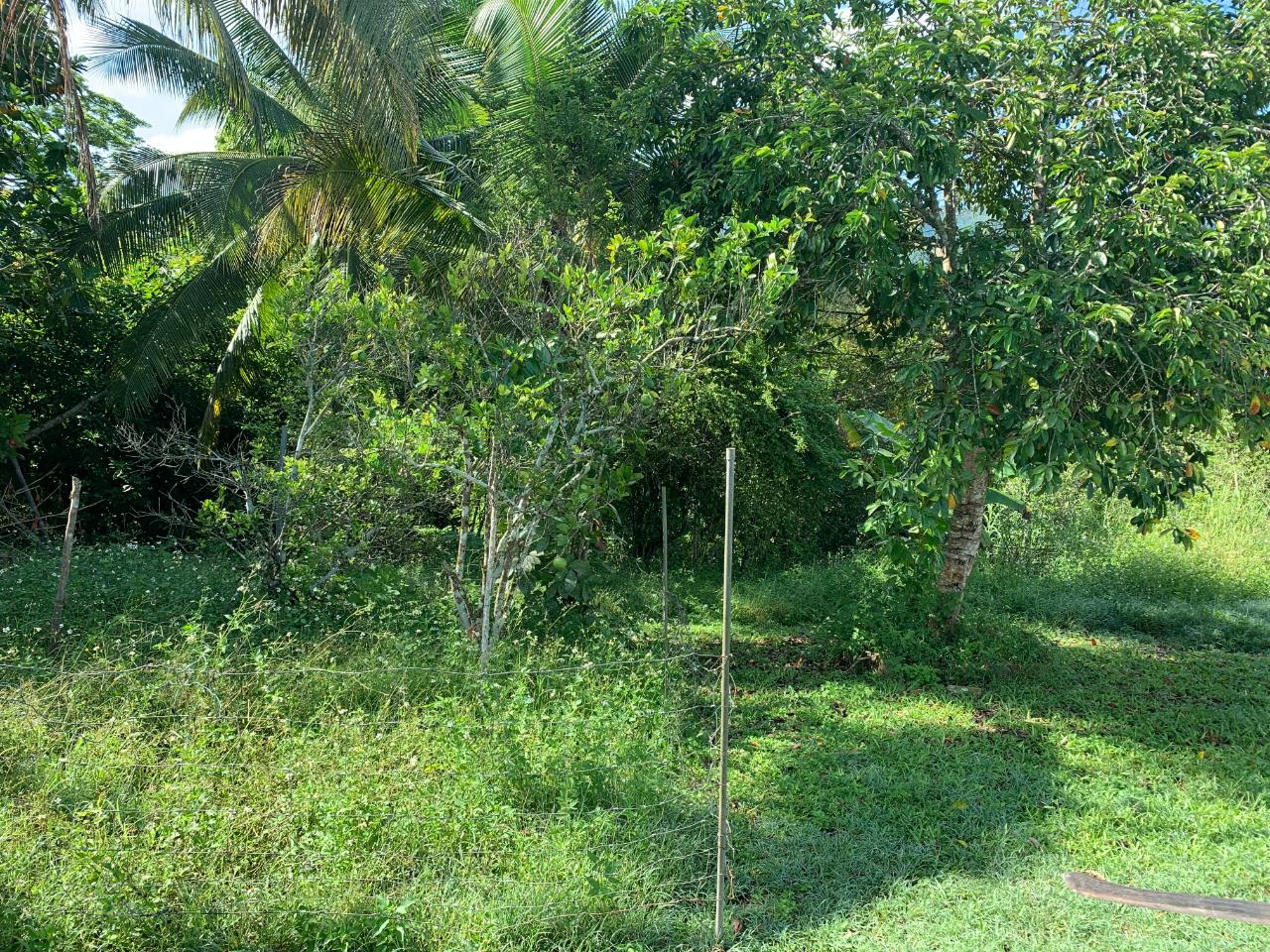 Development-Land-for-Sale-in-St.-James-Jamaica-–-22-Subdivided-Residential-Lots Twenty-First image of Fairfield/johns Hall Main in Montego Bay, St. James, Jamaica - property is For Sale