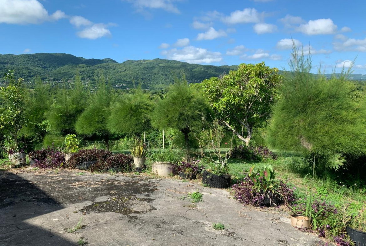 Twenty-Fourth image of Fairfield/johns Hall Main in Montego Bay, St. James, Jamaica - property is For Sale