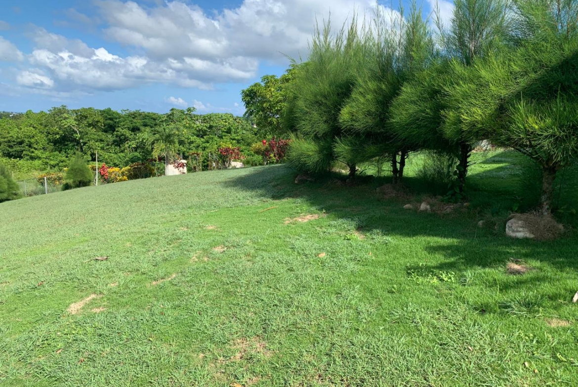 Tenth image of Fairfield/johns Hall Main in Montego Bay, St. James, Jamaica - property is For Sale