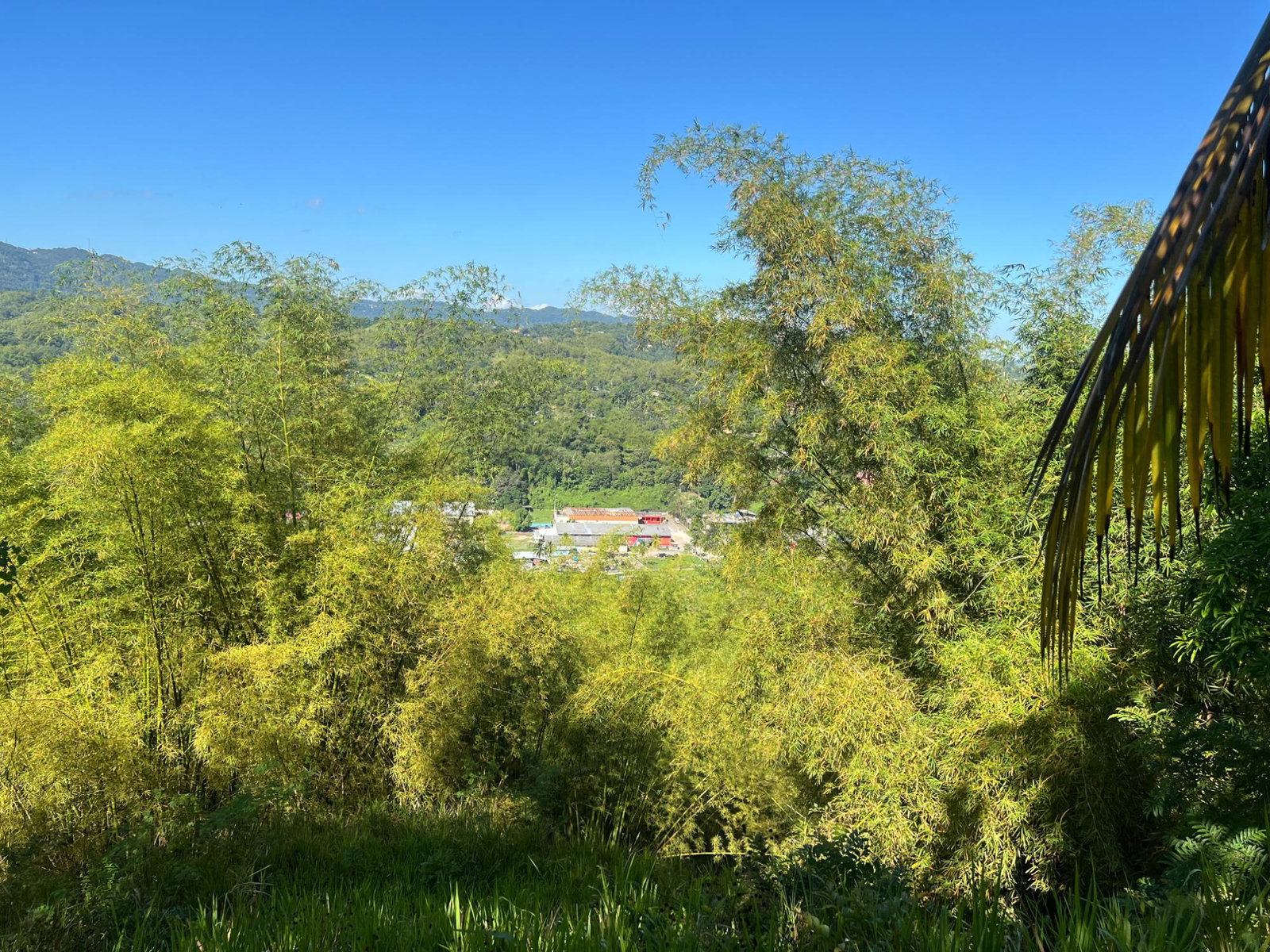 Eleventh image of Temple Hall in Stony Hill P.O., St. Andrew, Jamaica - property is For Sale