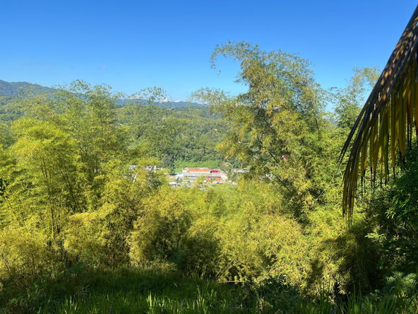 Eleventh image of Temple Hall in Stony Hill P.O., St. Andrew, Jamaica - property is For Sale
