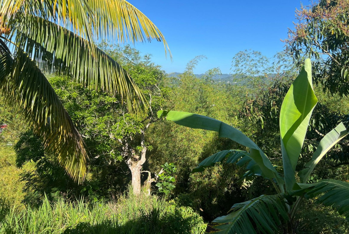 Thirteenth image of Temple Hall in Stony Hill P.O., St. Andrew, Jamaica - property is For Sale