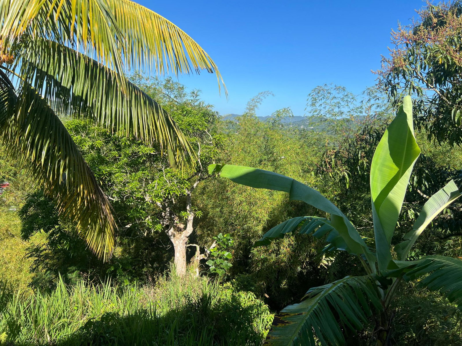 Thirteenth image of Temple Hall in Stony Hill P.O., St. Andrew, Jamaica - property is For Sale
