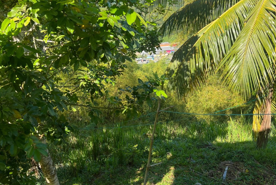 Fourteenth image of Temple Hall in Stony Hill P.O., St. Andrew, Jamaica - property is For Sale