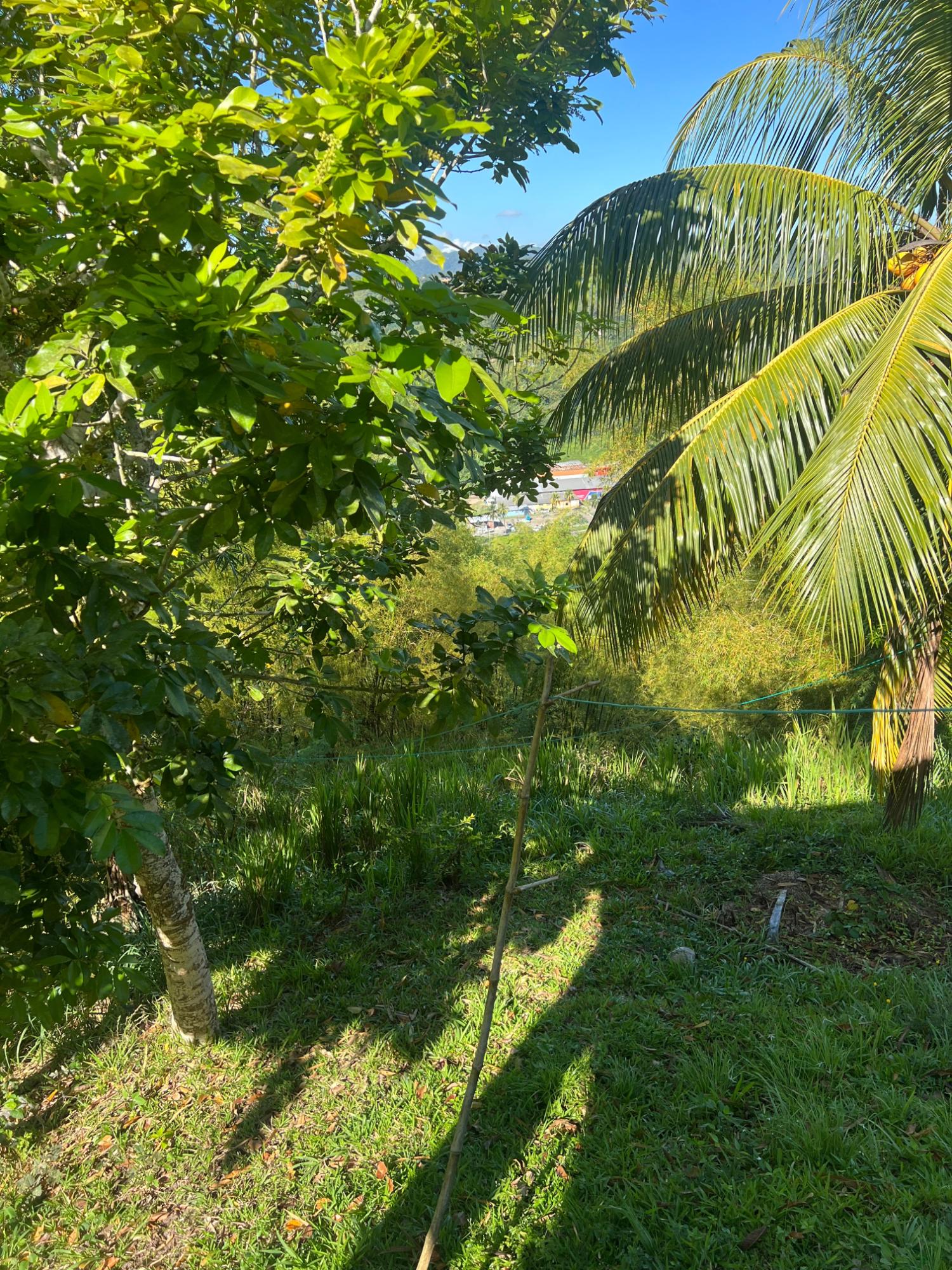 Fourteenth image of Temple Hall in Stony Hill P.O., St. Andrew, Jamaica - property is For Sale