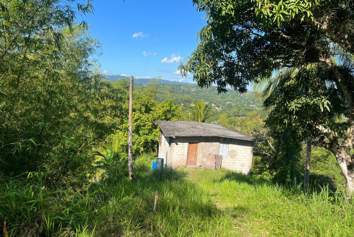 Fourth image of Temple Hall in Stony Hill P.O., St. Andrew, Jamaica - property is For Sale