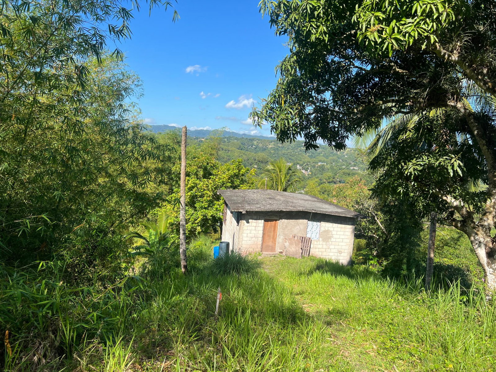 Fourth image of Temple Hall in Stony Hill P.O., St. Andrew, Jamaica - property is For Sale