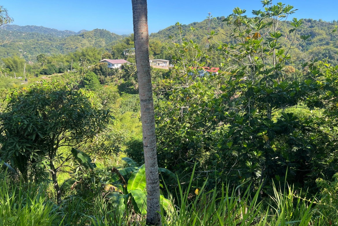 Sixth image of Temple Hall in Stony Hill P.O., St. Andrew, Jamaica - property is For Sale