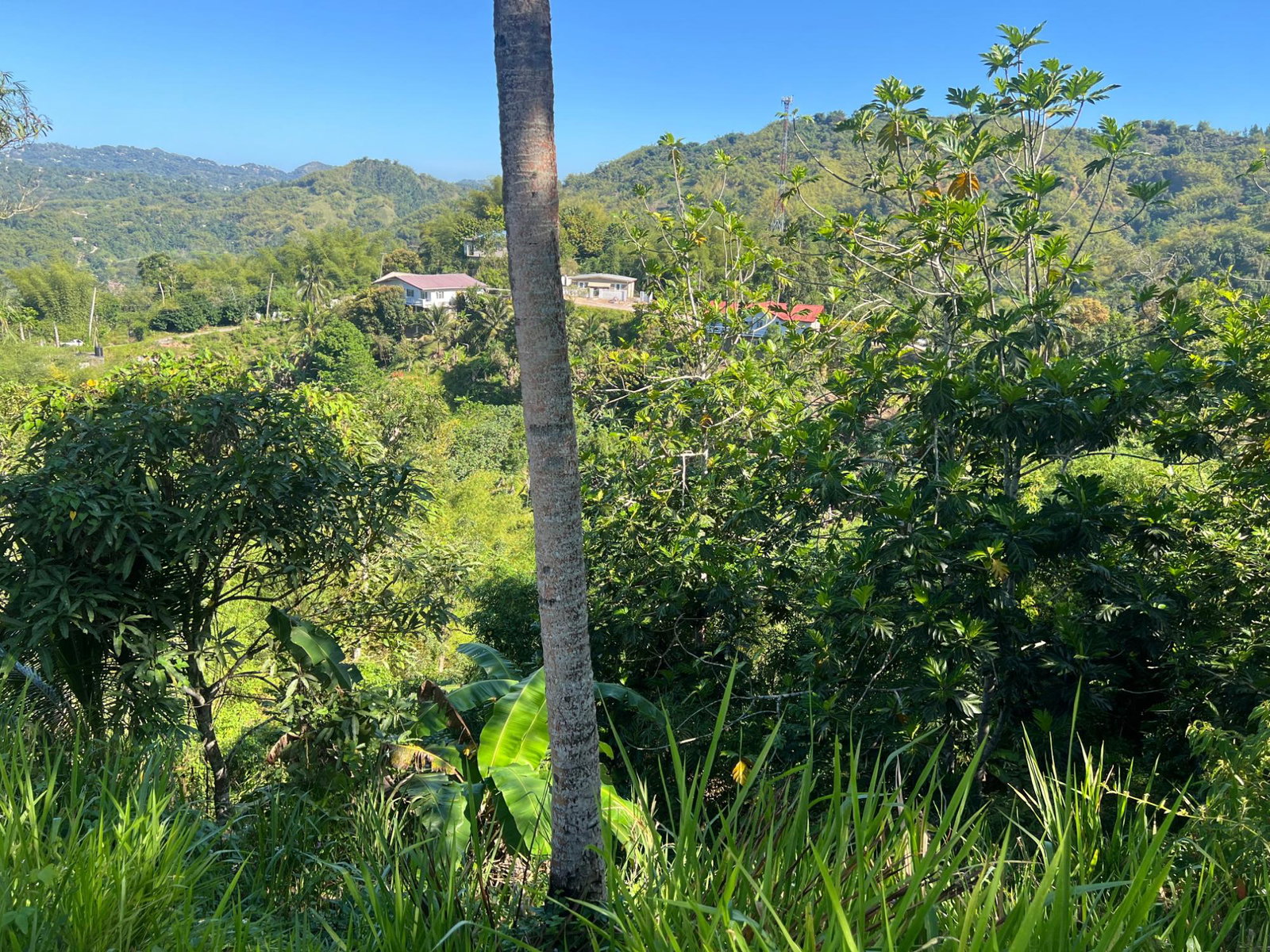 Sixth image of Temple Hall in Stony Hill P.O., St. Andrew, Jamaica - property is For Sale