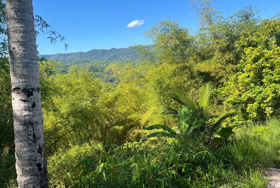 Eighth image of Temple Hall in Stony Hill P.O., St. Andrew, Jamaica - property is For Sale