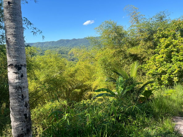 Eighth image of Temple Hall in Stony Hill P.O., St. Andrew, Jamaica - property is For Sale