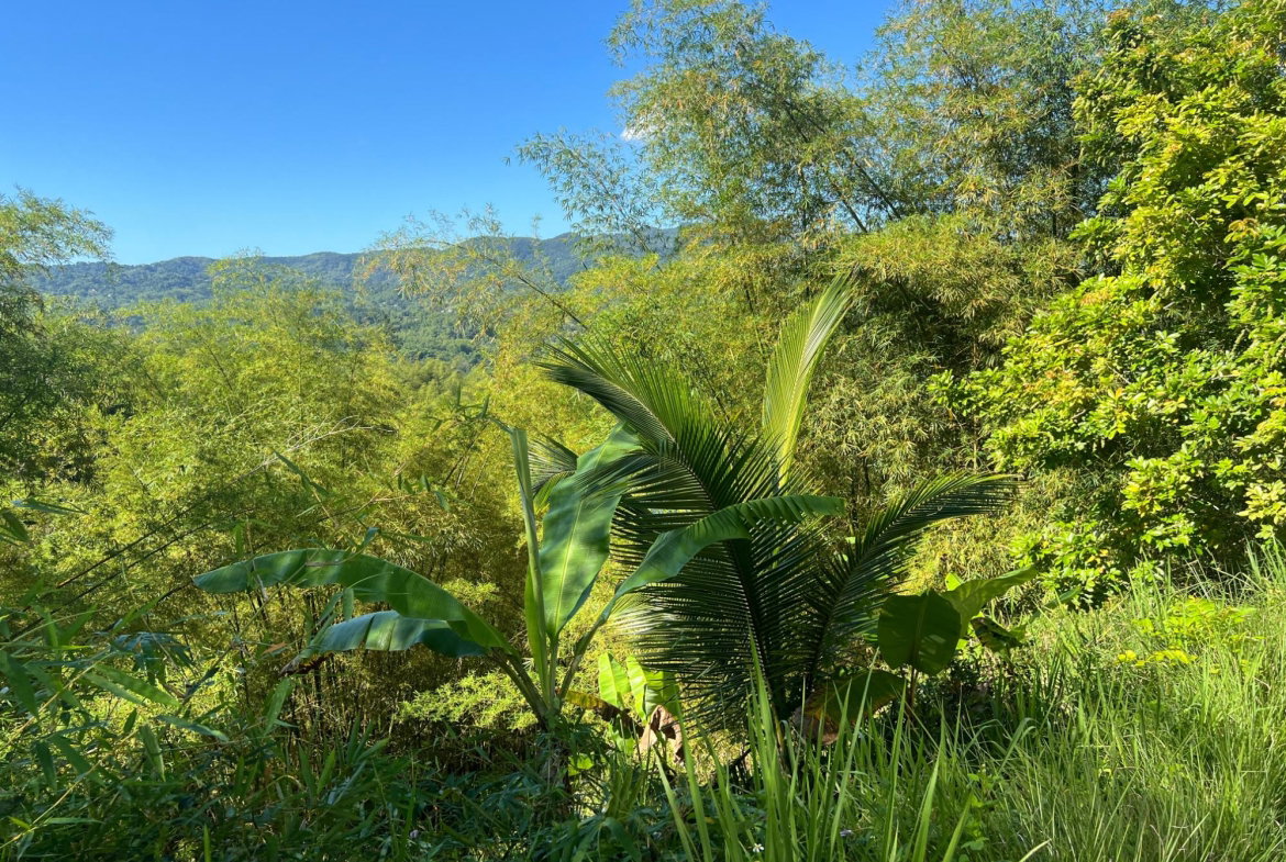Tenth image of Temple Hall in Stony Hill P.O., St. Andrew, Jamaica - property is For Sale