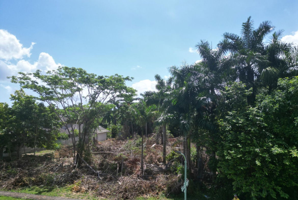 Sixth image of Great River Ave, Drax Hal in Drax Hall Estate, St. Ann, Jamaica - property is For Sale