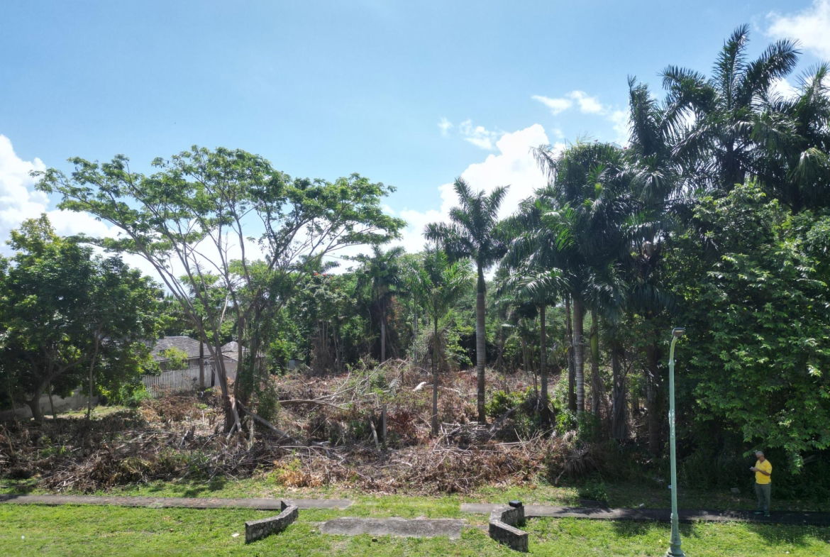 Eighth image of Great River Ave, Drax Hal in Drax Hall Estate, St. Ann, Jamaica - property is For Sale