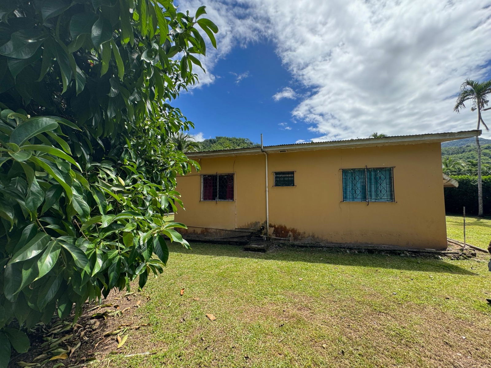Duplex-House-for-Sale-in-St.-Andrew-Jamaica-4-Steele-Road-Investment-Property Eleventh image of 4 Steele Road in Golden Spring P.O., St. Andrew, Jamaica - property is For Sale