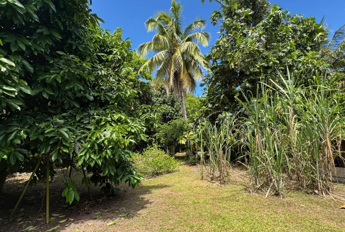 Twelfth image of 4 Steele Road in Golden Spring P.O., St. Andrew, Jamaica - property is For Sale