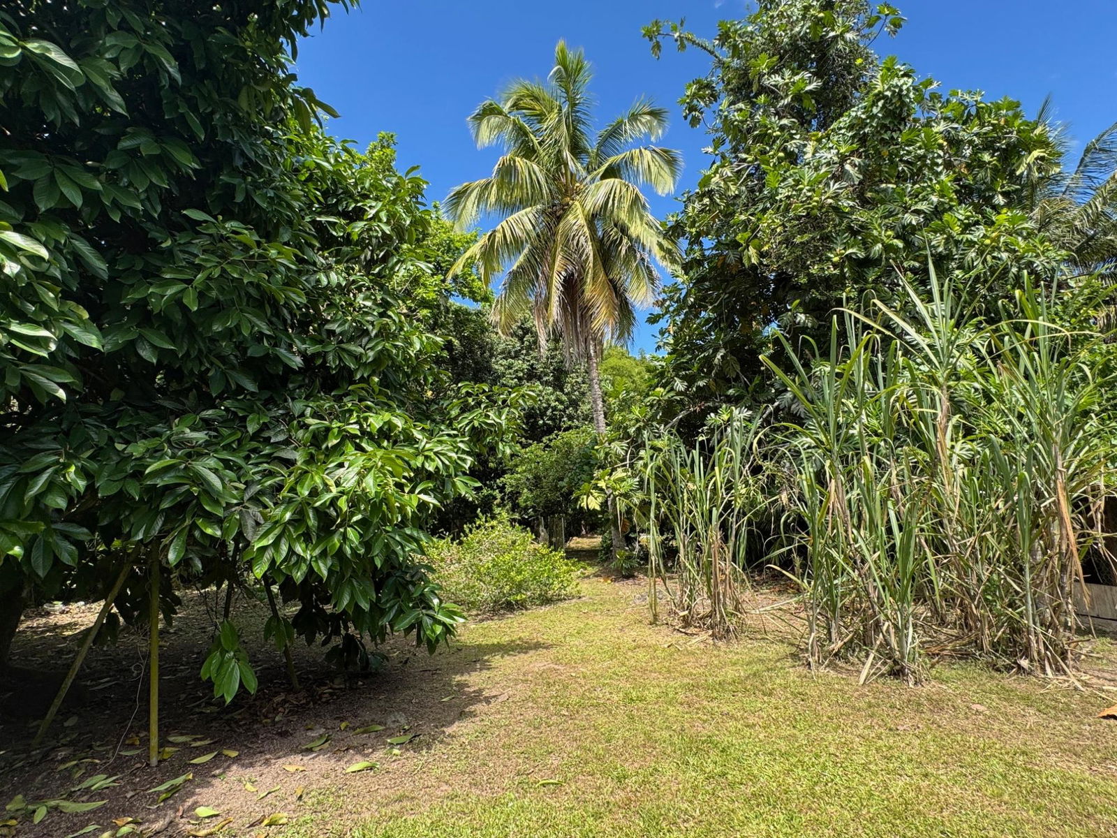 Duplex-House-for-Sale-in-St.-Andrew-Jamaica-4-Steele-Road-Investment-Property Twelfth image of 4 Steele Road in Golden Spring P.O., St. Andrew, Jamaica - property is For Sale