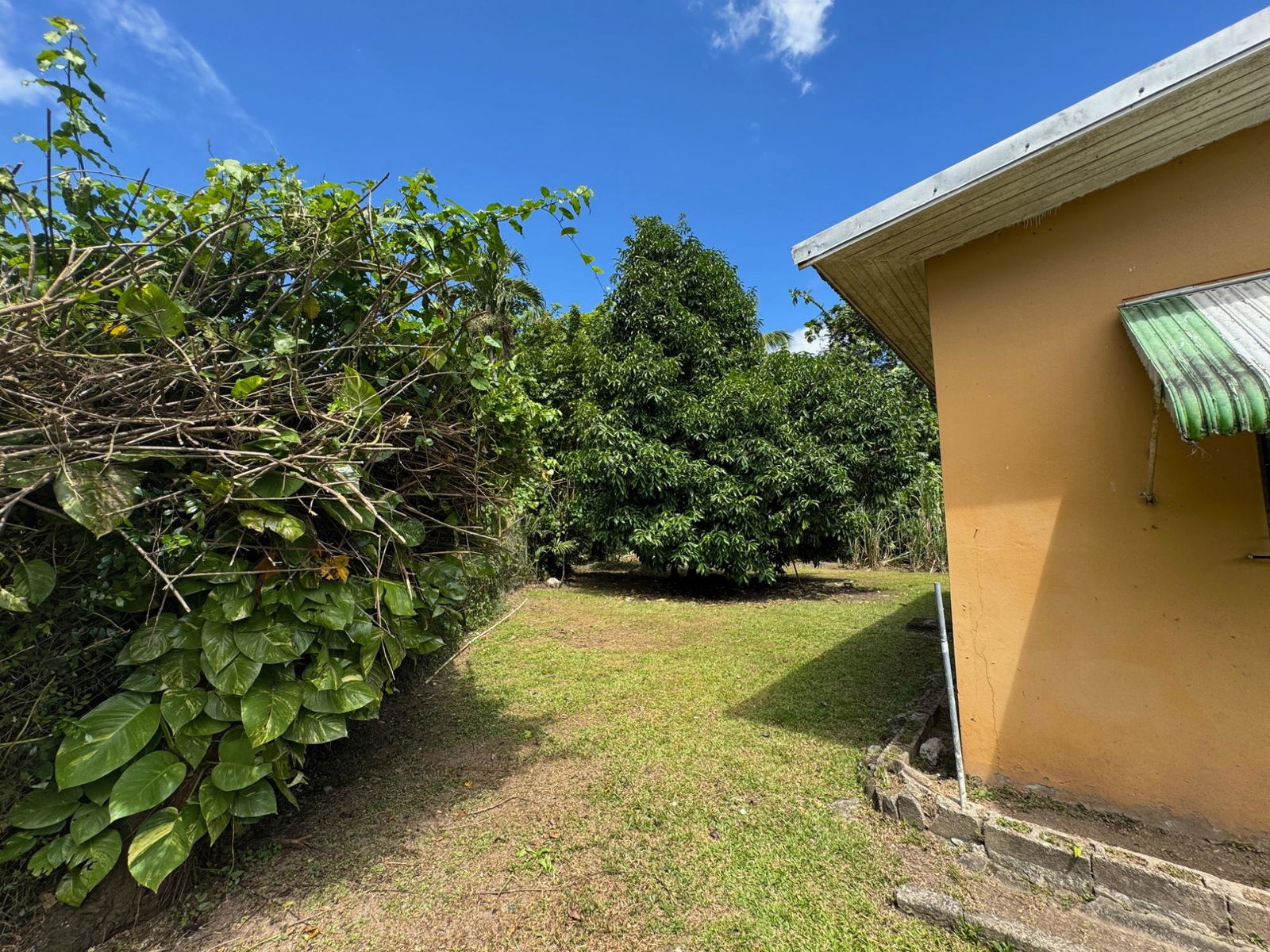 Duplex-House-for-Sale-in-St.-Andrew-Jamaica-4-Steele-Road-Investment-Property Eighth image of 4 Steele Road in Golden Spring P.O., St. Andrew, Jamaica - property is For Sale