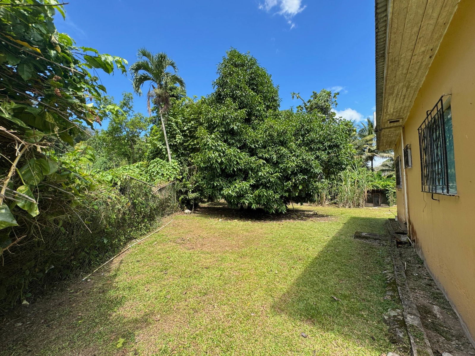 Duplex-House-for-Sale-in-St.-Andrew-Jamaica-4-Steele-Road-Investment-Property Tenth image of 4 Steele Road in Golden Spring P.O., St. Andrew, Jamaica - property is For Sale