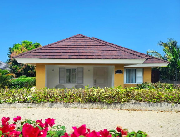 First image of 517- Papaya Avenue, Cool Shade in Priory, St. Ann, Jamaica - property is For Rent