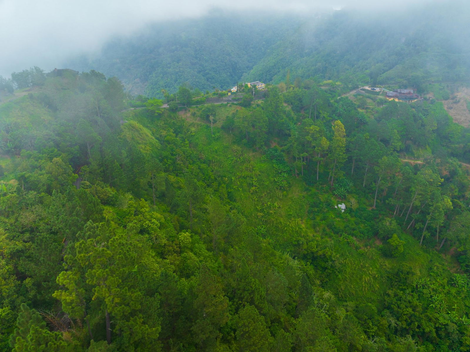 Exclusive-9-Acre-Residential-Land-for-Sale-in-Greenwich-Hill-Blue-Mountains-Jamaica Second image of 20 Greenwich Drive in Irish Town P.A., St. Andrew, Jamaica - property is For Sale