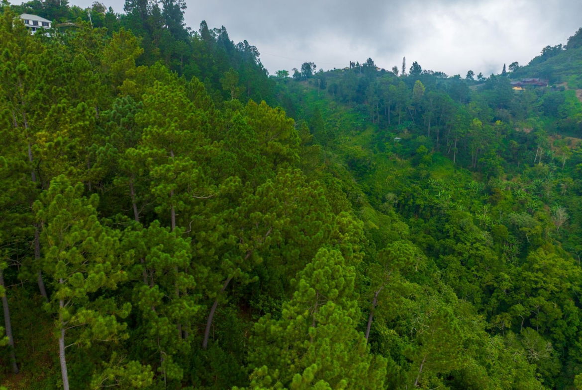 Eleventh image of 20 Greenwich Drive in Irish Town P.A., St. Andrew, Jamaica - property is For Sale