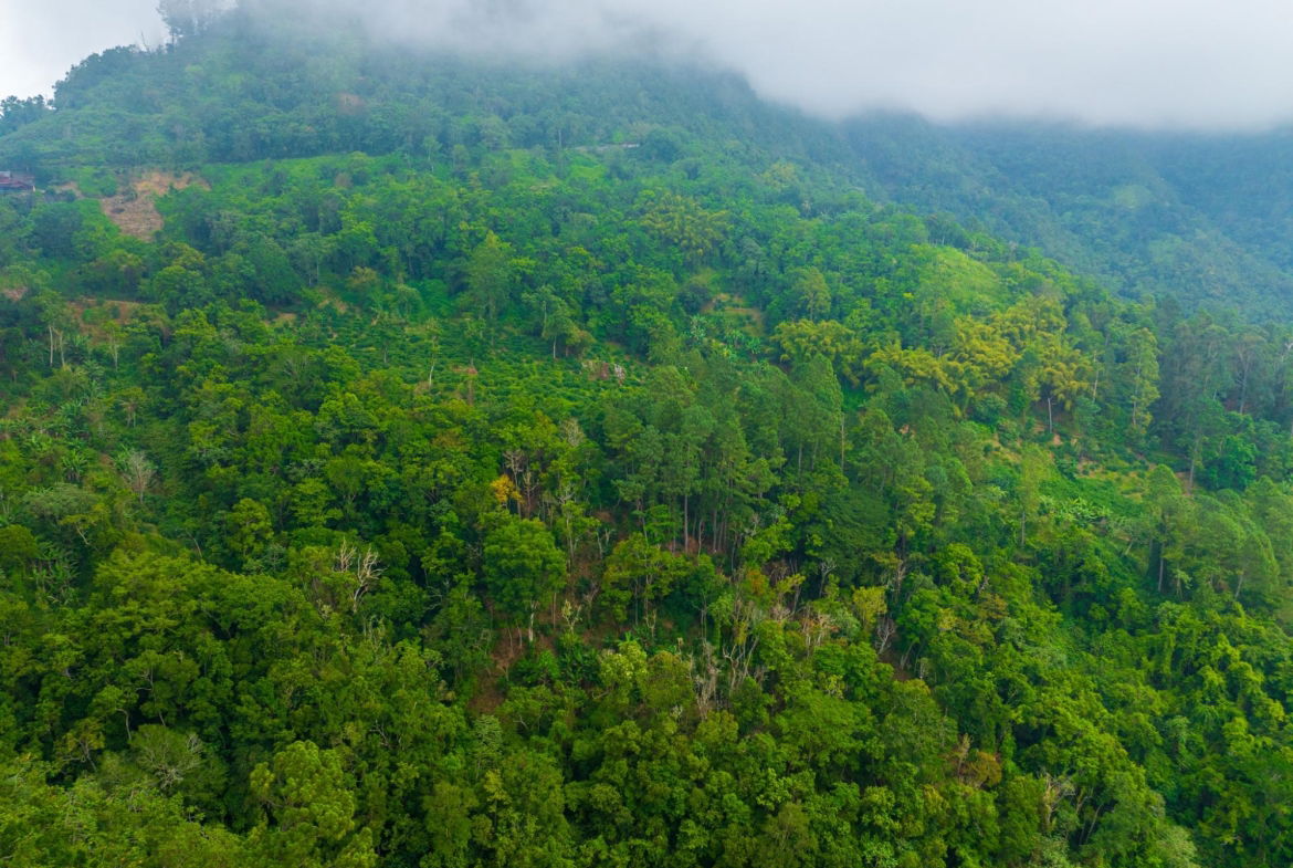 Twelfth image of 20 Greenwich Drive in Irish Town P.A., St. Andrew, Jamaica - property is For Sale